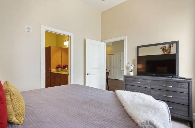Amazing Condos Beautiful View 2 Blocks To French Quarter, Small Rooftop Pool, Gym, Seanger Theater, Super Dome, And Bourbon St New Orleans Exteriör bild
